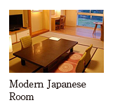 Modern Japanese Room