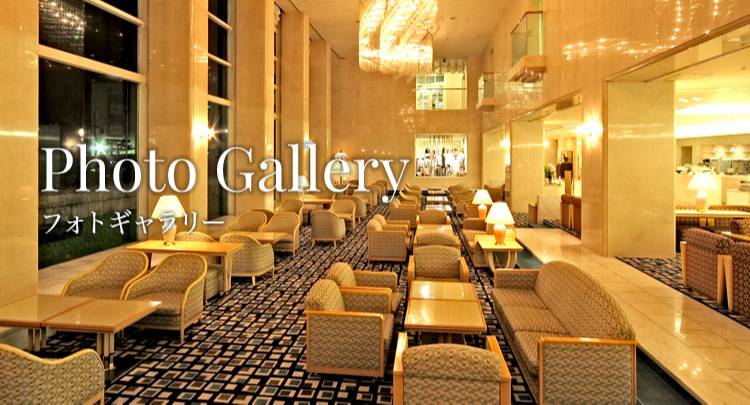フォトギャラリー