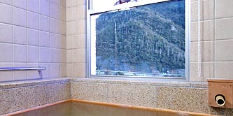 眺望風呂付特別和室